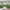 MinimalisticDecor.com-Bamboo Trees Wallpaper Mural - Stunning Nature Decor