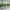 MinimalisticDecor.com-Bamboo Trees Wallpaper Mural - Stunning Nature Decor