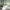 MinimalisticDecor.com-Bamboo Trees Wallpaper Mural - Stunning Nature Decor