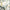 MinimalisticDecor.com-Banana Leaves Tropical Wallpaper Mural