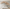 MinimalisticDecor.com-Beige Willow 3D Tree Wallpaper Murals - Transform Your Space
