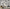 MinimalisticDecor.com-Black Trees Wallpaper Murals- High-Quality Wall Art Décor