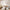 MinimalisticDecor.com-Blossom Wallpaper Mural – Enhance Your Space