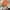 MinimalisticDecor.com-Boho Flowers Wallpaper Mural - Stunning Décor Piece