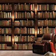 MinimalisticDecor.com-Bookshelf Library Wallpaper: Transform with Literary Charm