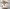 MinimalisticDecor.com-Brown Spread 3D Tree Wallpaper Murals: Enhance Your Space