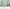 MinimalisticDecor.com-Cactus Wallpaper Murals: Transform Your Space