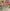 MinimalisticDecor.com-Cocomelon Wallpaper Murals: Kids Room Wall Decor