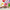 MinimalisticDecor.com-Colourful Flowers Wallpaper - Vibrant Floral Prints