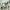 MinimalisticDecor.com-DinoLand Adventure Kids Room Dinosaur Wallpaper