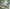 MinimalisticDecor.com-Find Your Paradise - Tropical Wallpaper Murals