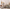 MinimalisticDecor.com-Floral Plants Elegant Theme – Tropical Wallpaper Murals