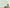 MinimalisticDecor.com-GeoExplorers: Interactive Green Theme World Map Wallpaper for Kids