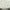 MinimalisticDecor.com-GeoExplorers: Interactive Green Theme World Map Wallpaper for Kids