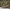 MinimalisticDecor.com-Gold Leafs Pattern Wallpaper Murals