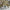 MinimalisticDecor.com-Golden Passage: Walk to Home in Winter Wallpaper