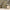 MinimalisticDecor.com-Golden Passage: Walk to Home in Winter Wallpaper