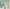 MinimalisticDecor.com-Green Blossom Flowers Wallpaper Murals - Stunning Wall Decor
