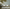 MinimalisticDecor.com-Green in Morning Shadow – Tree Wallpaper Murals