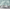 MinimalisticDecor.com-Green Sketch Trace Tree - Coconut Tree Wallpaper Murals