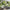 MinimalisticDecor.com-Green Society Wallpaper - Transform Your Space