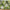 MinimalisticDecor.com-Green Society Wallpaper - Transform Your Space