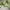 MinimalisticDecor.com-Green Society Wallpaper - Transform Your Space