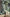 MinimalisticDecor.com-Green Tropical Haven Wallpaper Mural