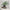 MinimalisticDecor.com-Green Willow Tree Wallpaper for Home Wall Decor