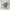 MinimalisticDecor.com-Green Willow Tree Wallpaper for Home Wall Decor