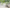 MinimalisticDecor.com-Greenery Wallpaper Mural: Effortless Nature-Inspired Beauty