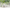 MinimalisticDecor.com-Greenery Wallpaper Mural: Effortless Nature-Inspired Beauty