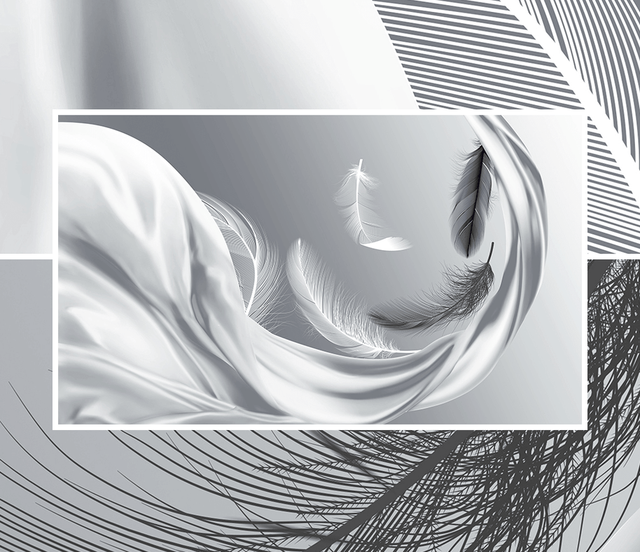 MinimalisticDecor.com-Grey Feathers Wallpaper Murals