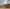 MinimalisticDecor.com-Grey Long Leafs Wallpaper Murals