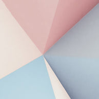 MinimalisticDecor.com-Harmonic Fusion: Geometric Shapes Wallpaper
