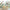 MinimalisticDecor.com-Jungle Friends Gathering Wallpaper Mural