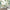 MinimalisticDecor.com-Jungle Friends Mix Gathering Wallpaper Mural