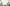 MinimalisticDecor.com-Jungle Safari Theme Kids Room Wallpaper Mural