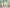 MinimalisticDecor.com-Jungle Theme Safari - Kids Room Wallpaper Mural