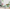 MinimalisticDecor.com-Kids Room Jungle Scene Wallpaper Murals