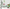 MinimalisticDecor.com-Kids Room Jungle Scene Wallpaper Murals