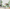 MinimalisticDecor.com-Kids Room Jungle Theme Wallpaper Murals