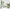 MinimalisticDecor.com-Kids Room Jungle Theme Wallpaper Murals