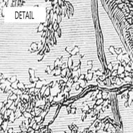 MinimalisticDecor.com-Lake View Sketch Wallpaper - Perfect Serene Atmosphere