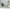 MinimalisticDecor.com-Large Green Leaf Wallpaper Murals - Stunning Wall Décor