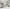 MinimalisticDecor.com-Large Green Leaf Wallpaper Murals - Stunning Wall Décor