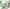 MinimalisticDecor.com-Large Green Leaves - Tropical Wallpaper Murals