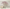 MinimalisticDecor.com-Large Pink 3D Tree Wallpaper Murals - Transform Your Walls