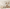 MinimalisticDecor.com-Leaf Lines Zoom Wallpaper Murals