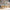 MinimalisticDecor.com-Living Room Wallpaper Mural - Abstract Topical Forest